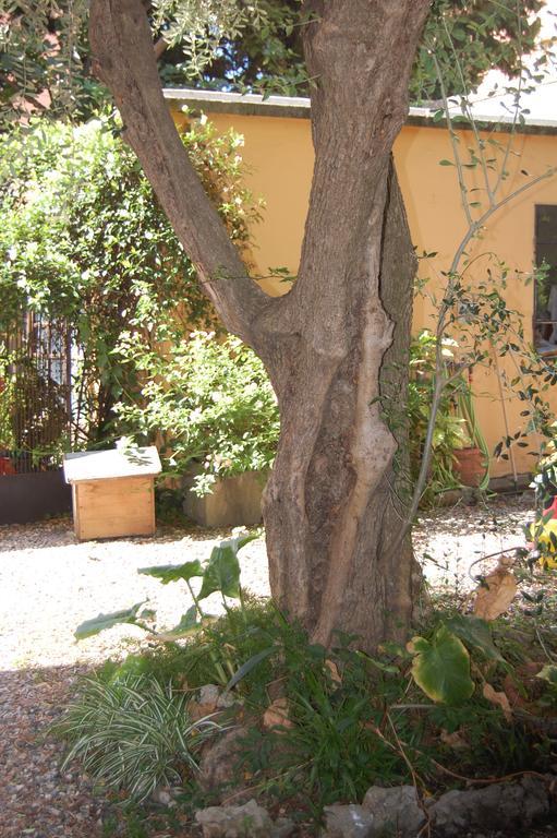 Arena Alfieri B&B Livorno Exterior photo
